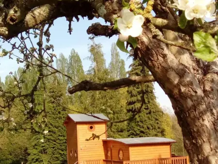 Cabane tchanquée en forêt, accès handicap, 1 chien : photo 15