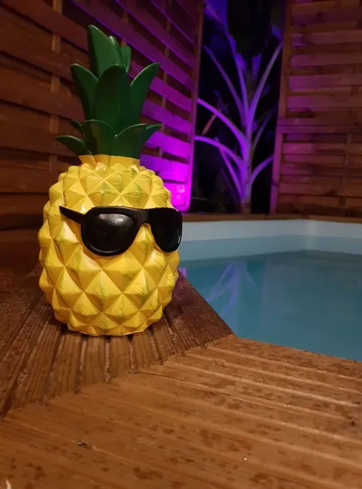 Bungalow avec piscine privée et jacuzzi au Diamant, Martinique - Photo 9
