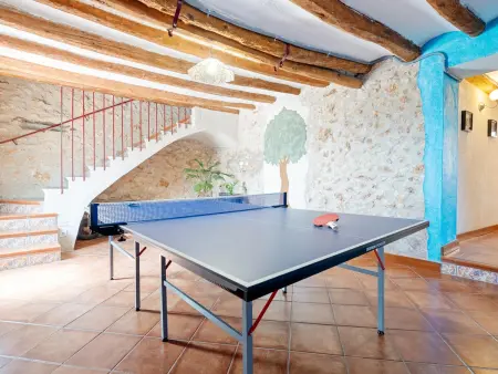 Villa historique 5 chambres avec piscine à Rourell : photo 5