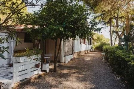 Maison 6 pers. en pinède avec vue mer à Capoliveri : photo 5
