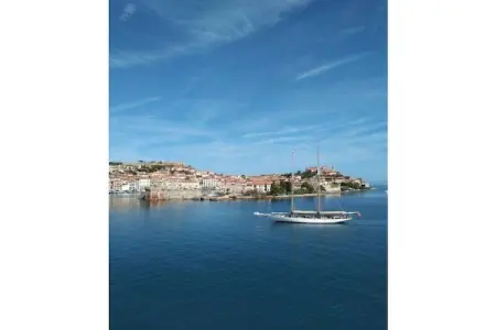 Maison 6 pers. en pinède avec vue mer à Capoliveri : photo 37