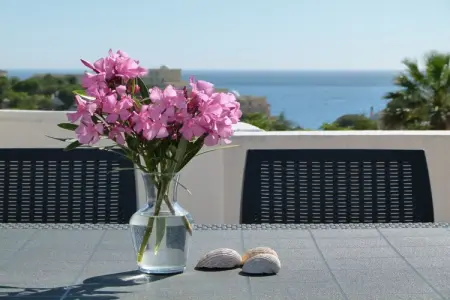 Villa Casa Esperanca, 7 pers., piscine et vue mer : photo 8
