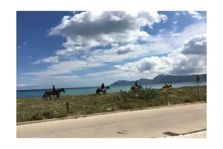 Maison 6 pers. face à la mer à Son Serra de Marina : photo 5
