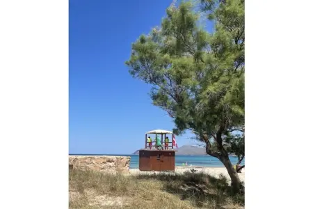 Maison 6 pers. face à la mer à Son Serra de Marina : photo 23
