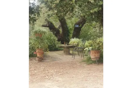 Caseta Trudy, gîte 3 pers. avec piscine à Peratallada : photo 14