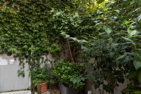 Chambre privée Madrid – Kitchenette et terrasse partagée : photo 19