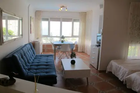 Studio 45 m² avec balcon à Torrox-Costa : photo 4