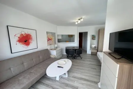 Studio vue mer à Torrox-Costa, 45 m² : photo 7