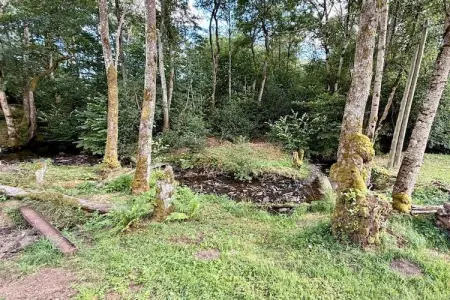 Le Moulin de l'étang, gîte 6 pers à Saint-Sauves : photo 31