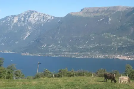 Appartement vue lac de Garde à Tremosine : photo 18