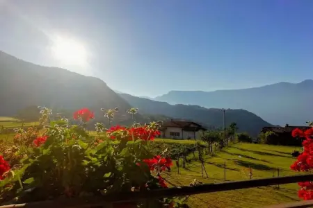 Casa Vanessa : maison 4 pers. Tremosine, terrasse 500m² : photo 43