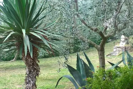 Casa Maffei – Maison Tignale, vue lac de Garde : photo 7