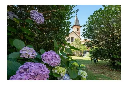 Appartement 50 m² Cannero Riviera, jardin privé : photo 50