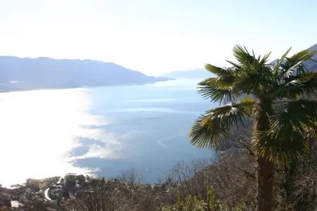 Casa Carlotta : maison 8 pers. vue lac Majeur : photo 7