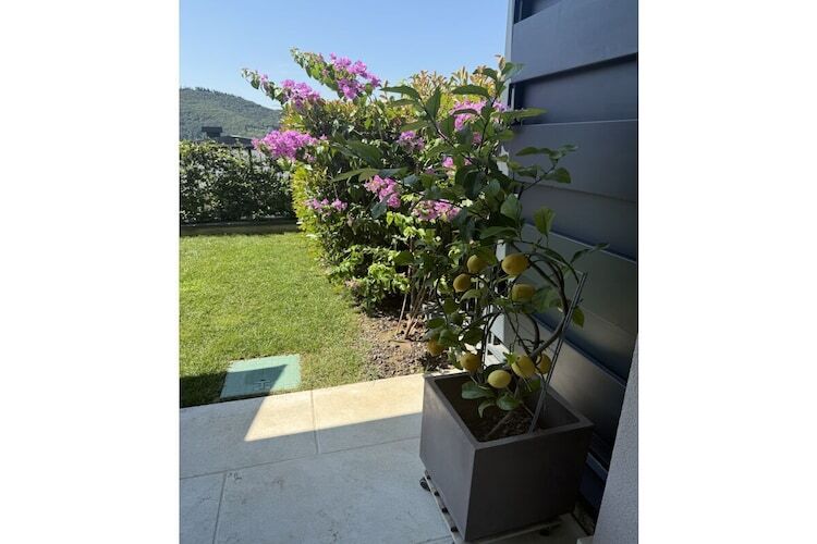Le Terrazze : maison Garda vue sur le lac - Photo 6