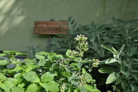 Maison Sonnenblume à Lana : 6 personnes, 2 saunas : photo 21