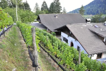 Maison de vacances ensoleillée avec terrasse à Lana : photo 3