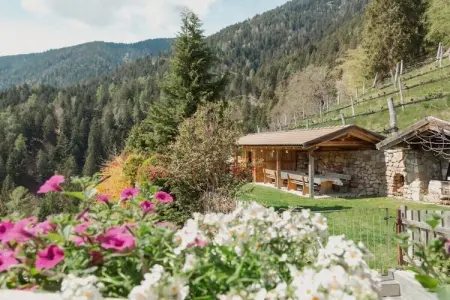 Maison de vacances ensoleillée avec terrasse à Lana : photo 21