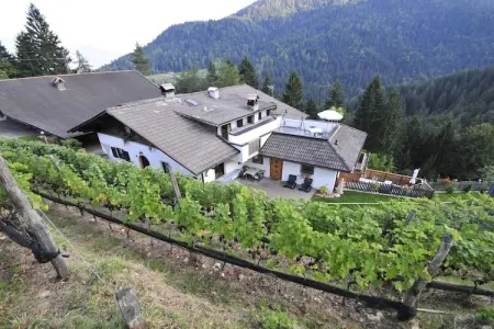Maison Meran à Lana-Völlan, 6 pers., piscine : photo 3