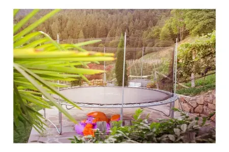 Maison Meran à Lana-Völlan, 6 pers., piscine : photo 5