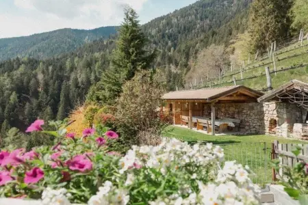 Maison Meran à Lana-Völlan, 6 pers., piscine : photo 9