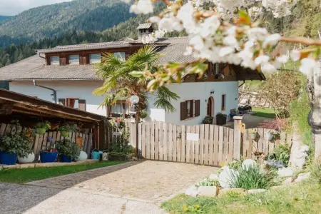 Maison Meran à Lana-Völlan, 6 pers., piscine : photo 12
