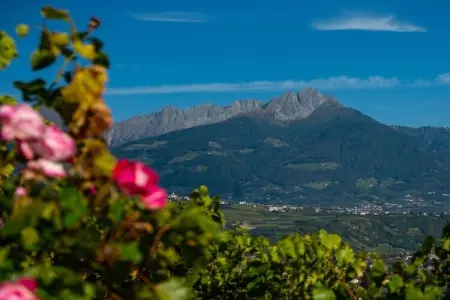 Maison de vacances à Algund avec étang de baignade : photo 35