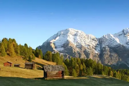 Appartement neuf à Wengen avec balcon sud et navette ski : photo 26