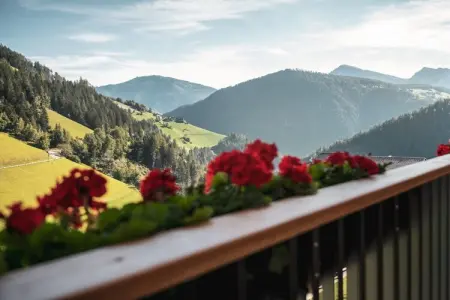Chalet bio Marebbe : 2 chambres, spa et potager : photo 6