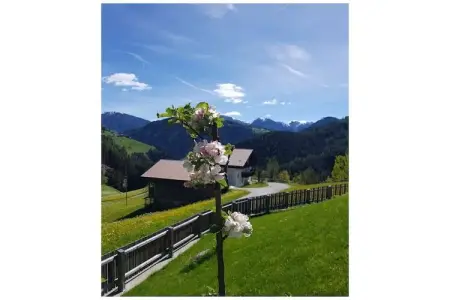 Chalet bio Marebbe : 2 chambres, spa et potager : photo 26