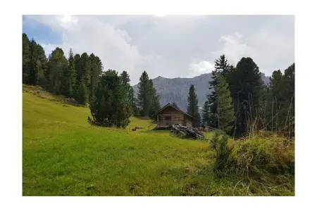 Chalet bio Marebbe : 2 chambres, spa et potager : photo 28