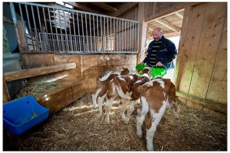 Ferme Braunhof, maison historique à Völs am Schlern : photo 15