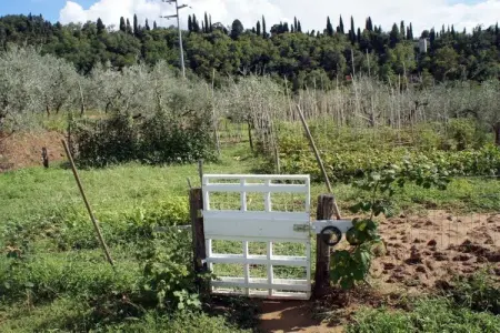 Appartement La Cantina à Castelfranco di Sopra : photo 20