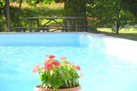 Maison avec piscine privée à Castiglione di Garfagnana : photo 6