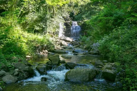 Maison avec piscine privée à Castiglione di Garfagnana : photo 18