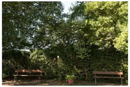 Maison toscane avec piscine et chêne centenaire : photo 30