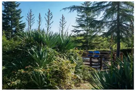 Maison toscane avec piscine et chêne centenaire : photo 31