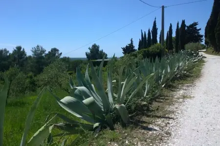 Villa Casa Al Pino, 4 chambres avec piscine et vue vallée : photo 14
