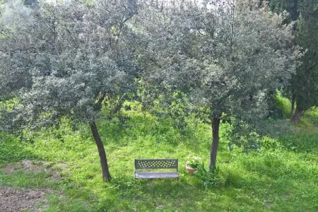 Villa Sofia – Maison 8 pers. Toscane, parc 5000 m² : photo 32