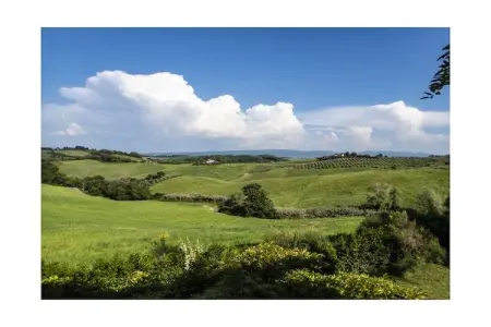 Villa Sofia – Maison 8 pers. Toscane, parc 5000 m² : photo 35