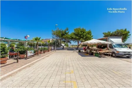 Casa Bianca à Specchiolla, 7 pers., 500 m plage : photo 35