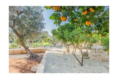Trullo Suenn avec piscine privée à San Michele Salentino : photo 20