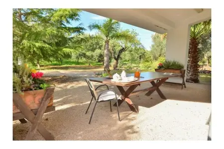 Trullo L'Alcova, maison traditionnelle en oliveraie : photo 4