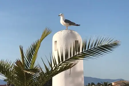 Maison avec vue Atlantique à Ferragudo, 150 m² : photo 3