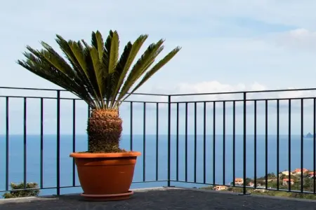 Vivenda Fortim à Santana : maison vue mer et Rocher de l'Aigle : photo 6
