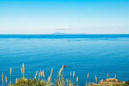 Vivenda Fortim à Santana : maison vue mer et Rocher de l'Aigle : photo 26