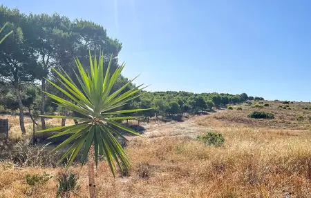 Villa Tolla à Algorfa : maison 90 m² piscine : photo 17