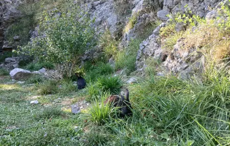 Ancienne ferme en pierre avec piscine, Garfagnana : photo 33