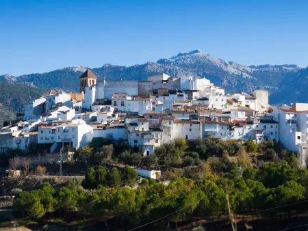Gîte 10 pers. Sierra de Cazorla, terrasse panoramique : photo 6