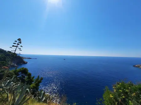 Villa 5 chambres avec piscine chauffée à 20m de la mer : photo 41